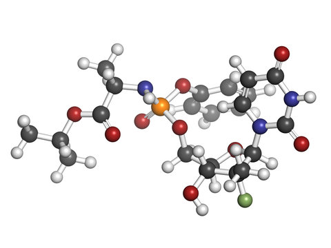 Sofosbuvir experimental (2013) hepatitis C virus drug