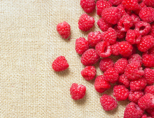 Many red ripe raspberry fruit