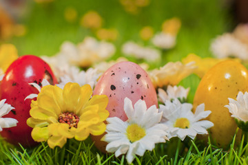 Oeufs de pâques dans jardin