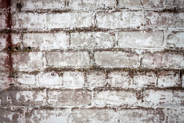 brick white dirty wall background