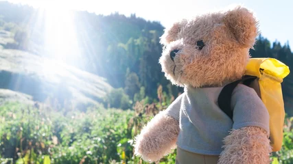 Fotobehang teddy bear hiking © andreusK