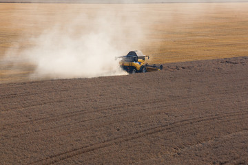 Harvest on the field