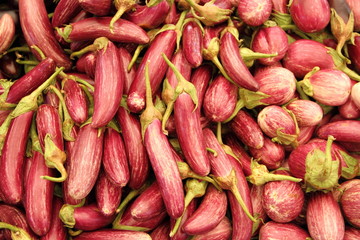 gestreifte Auberginen