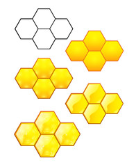 Honeycomb with honey on a white background