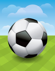 Soccer Ball on Green Soccer Pitch