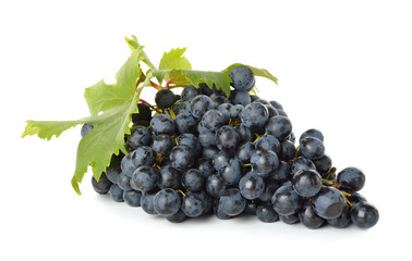 blue grapes