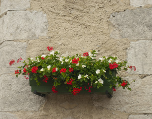 Fototapeta na wymiar Skrzynka na kwiaty na ścianie w Francji