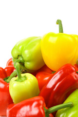 Multi-colour peppers on a white background.