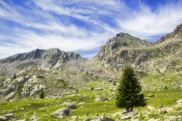 Obraz premium paesaggio alpino