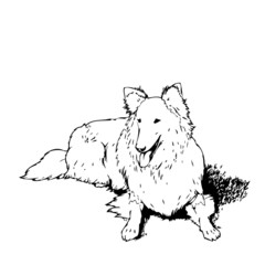 Hund Vektor Silhouette