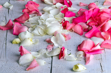 Rose petals in pink and white