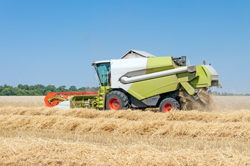 Obraz premium Combine harvests wheat on a field in sunny summer day