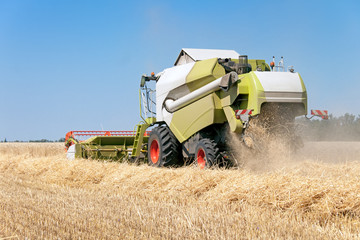 Combine harvests wheat on a field in sunny summer day