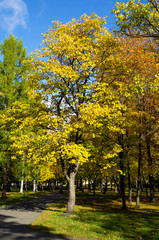 Park in the fall