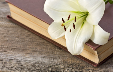 White lily on the book