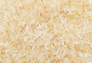 Background of rice