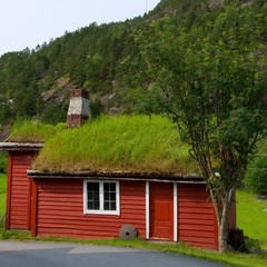 Fototapeta na wymiar Traditional house of Norway with grass on roof