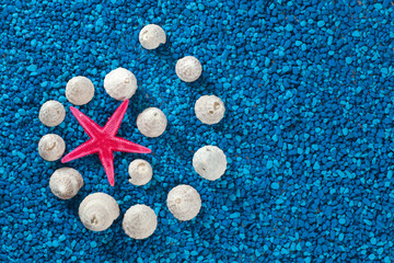 Starfish and seashells on blue background