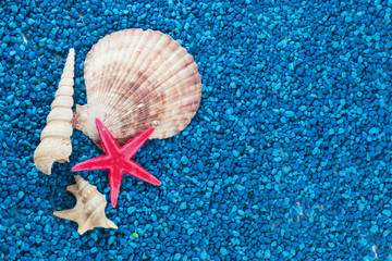 Starfish and seashells beautifull closeup on blue background