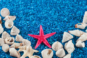Star-fish and seashells on sand