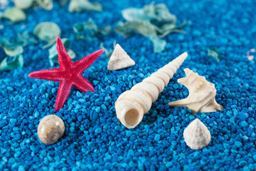 Starfish and seashell on blue sand like water