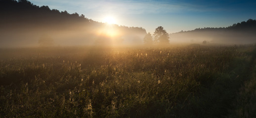 Sunrise over the misty field