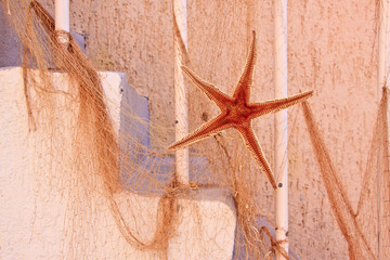 Decorative souvenir sea star