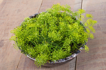 Fresh dill flowers in a bowl