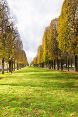 Autumn alley in Paris near Seine river - 55071998