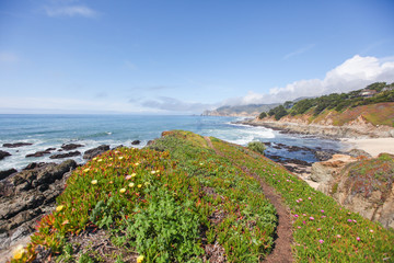 North California Coast