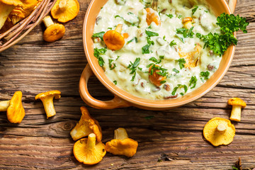 Chanterelles mushroom with cream and parsley are in the forest