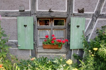 Fototapeta na wymiar maisons alsaciennes traditionnelles