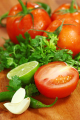 Salsa Ingredients of Avocado, Cilantro, Tomatoes and Peppers