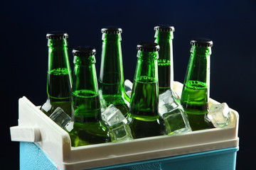 Bottles of beer with ice cubes in mini refrigerator,