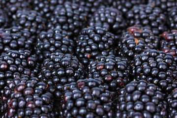 Sweet blackberries close-up
