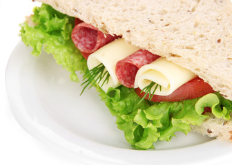 Tasty sandwich with salami sausage and vegetables
