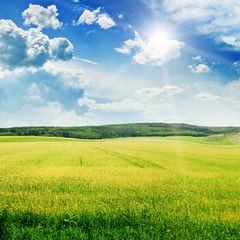 Fototapeta premium Beautiful sunset on spring field
