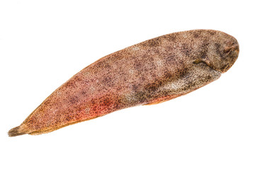 Fish Dover sole