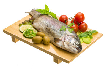 Fresh raw rainbow trout