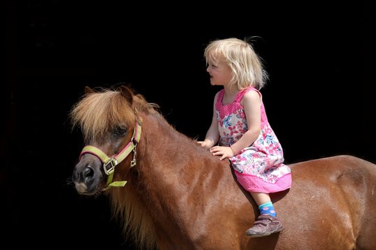 kleines m&auml;dchen auf shetty