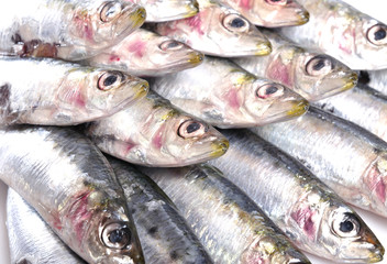 Sardinilla