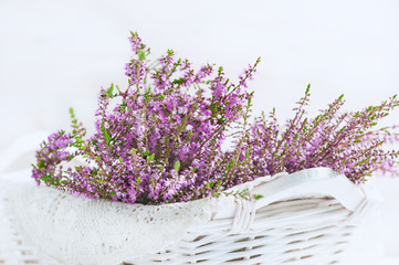 Heather in the basket
