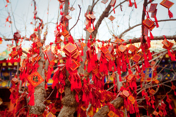wish cards in a Buddhist temple in Beijing