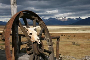 Patagonia Estancia Rio Mitre - ruota di carro con teschio animale