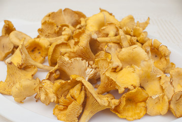 Chanterelles