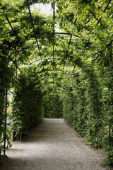 Long arch in a park - 55082981