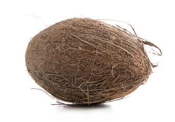 Coconut isolated on white background
