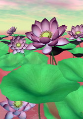 Panele Szklane  Różowe lilie wodne i kwiaty lotosu - renderowanie 3D