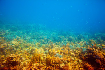 Fototapeta na wymiar Woda morze czerwone