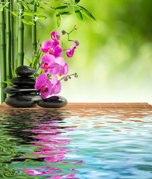 Fototapeta różowy storczyk czarny kamień i bambus na wodzie